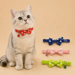 Grey cat wearing a red polka-dot bow tie collar with bell from Purrr Pakistan