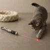 Grey tabby cat pouncing on red laser pointer dot on the floor