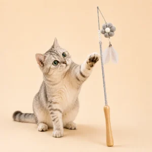 Grey tabby kitten reaching for cat teaser stick toy with feather