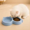 White cat eating from blue Double Cat Food Bowl with water and kibble