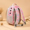 Back view of transparent cat carrier backpack showing padded adjustable straps and mesh side pocket